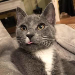 Meet your Posher, Stacie